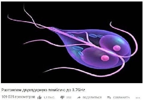 Разгоняем двухядерную лямблию до 109 035 просмотров 1,5 353 ПОДЕЛИТЬСЯ СОХРАНИТЬ