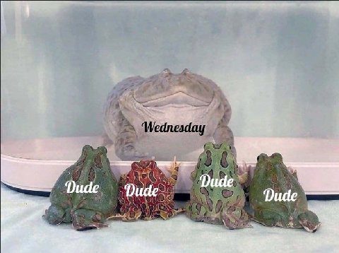 4 Wednesday ude. Dude