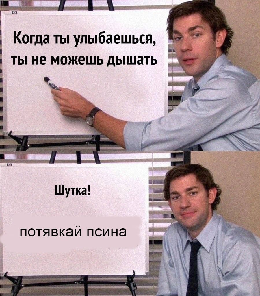 Когда ты улыбаешься, ты не можешь дышать Шутка! потявкай псина
