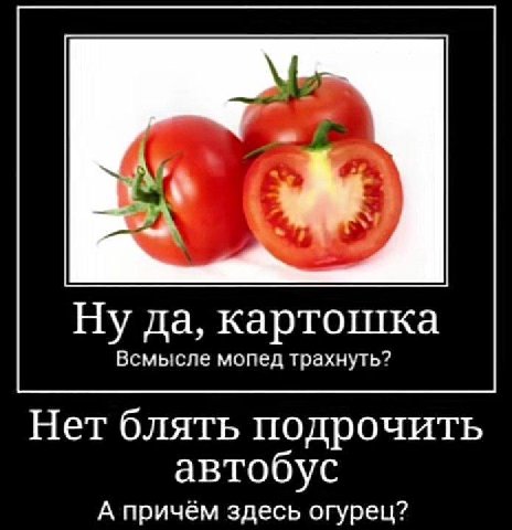 Ну да, картошка Всмысле мопед трахнуть? Нет блять подрочить автобус А причем здесь огурец?