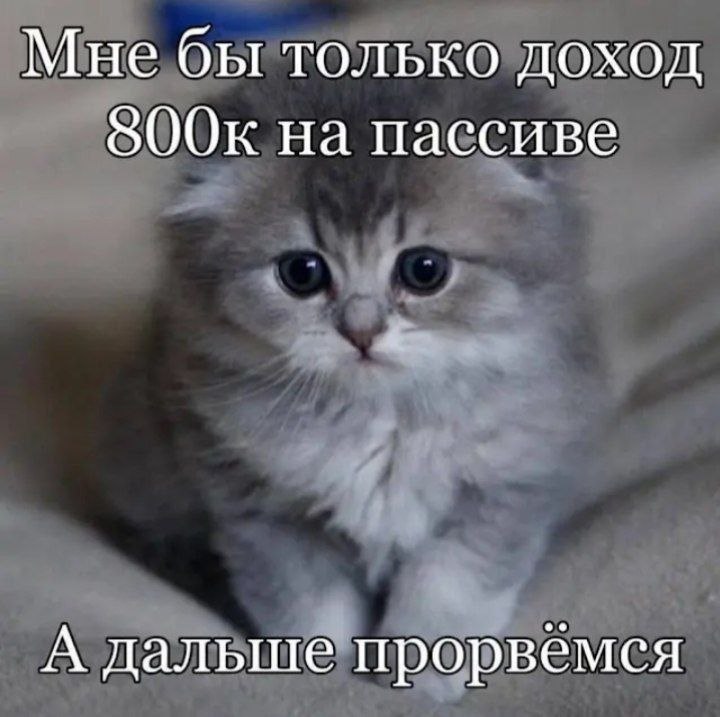 Мне бы только доход на пассиве А дальше прорвемся