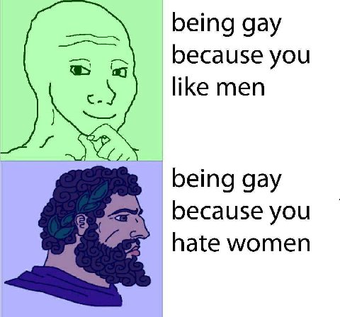 being gay because you like men being gay because you hate women