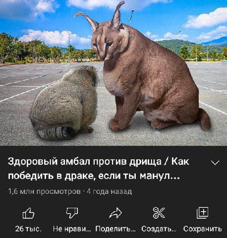 Здоровый амбал против дрища Kak победить в драке, если ты манул... 1,6 млн просмотров 4 года назад 26 тыс. Не нрави... Поделить... Создать... Сохранить