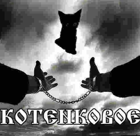 КОТенНновОе