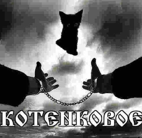 КОТенНновОе