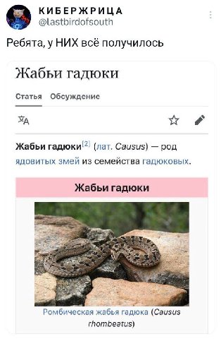 КИБЕРЖРИЦА @lastbirdofsouth Ребята, у НИХ всё получилось Жабьи гадюки Статья Обсуждение Жабьи гадюки" (лат. Causus) род ядовитых змей из семейства гадюковых. Жабьи гадюки Ромбическая жабья гадюка (Саи
