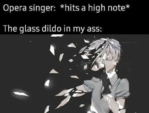 Opera singer: *hits a high note* The glass dildo in my ass: