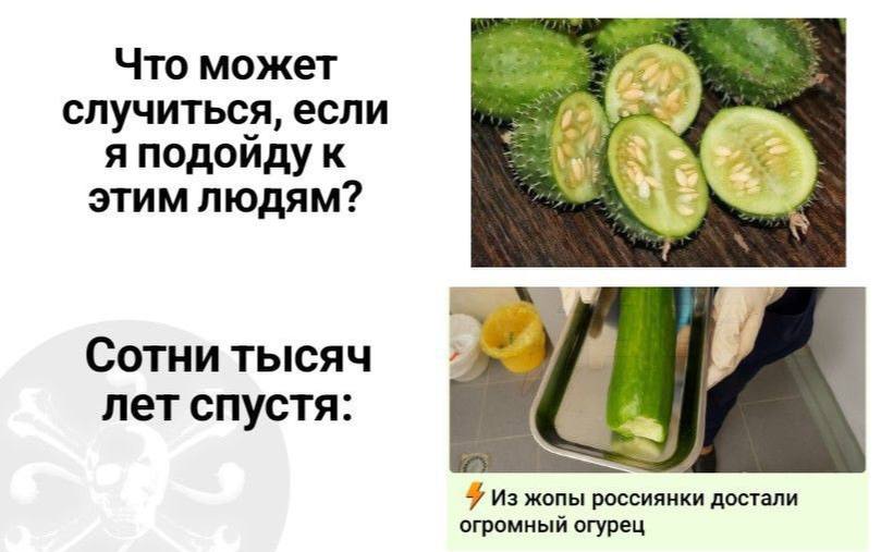 Что может случиться, если я подойду к i= 1% этим людям? Сотни тысяч лет спустя: 9 Из жопы россиянки достали огромный огурец