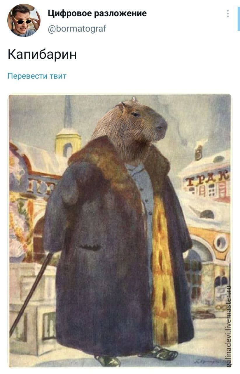 Цифровое разложение @bormatograf Капибарин Перевести твит a i at