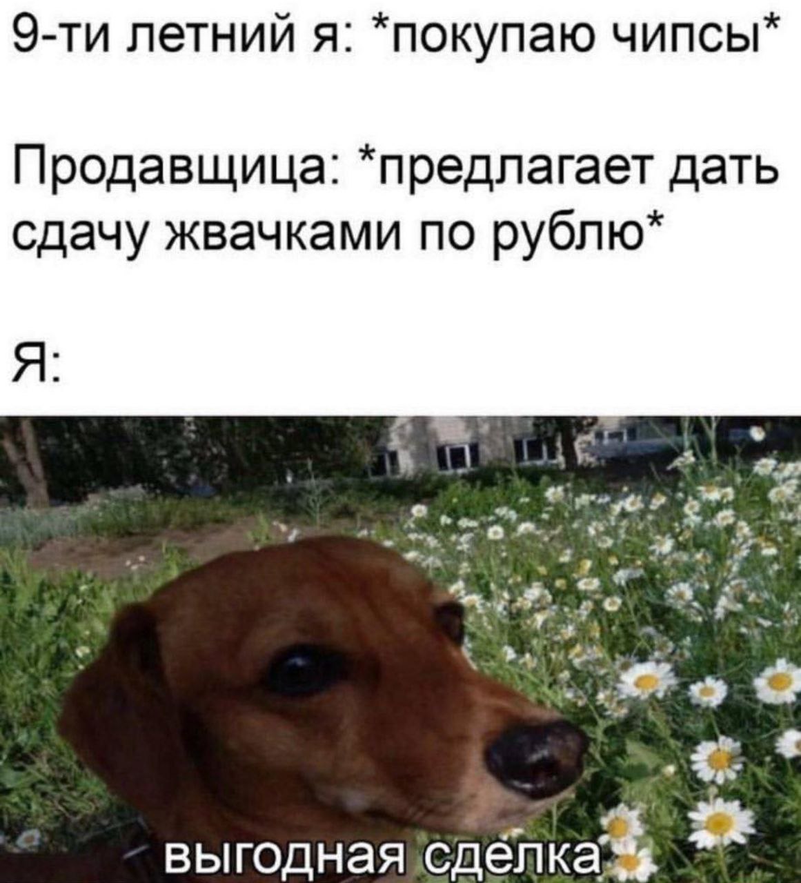 летний я: *покупаю чипсы* Продавщица: *предлагает дать сдачу жвачками по рублю* выгодная