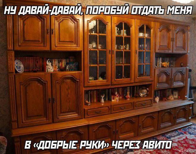 НУ ДАВАЙ-ДАВАЙ, ПОРПБУЙ ОТДАТЬ МЕНЯ В «ДОБРЫЕ РУКИ» ЧЕРЕЗ АВИТО