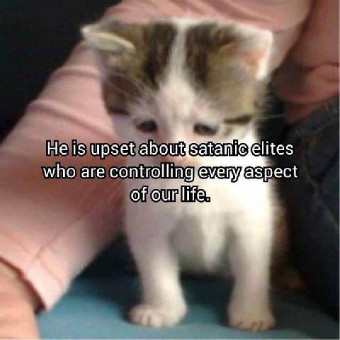 Не is upset about elites who are controlling of