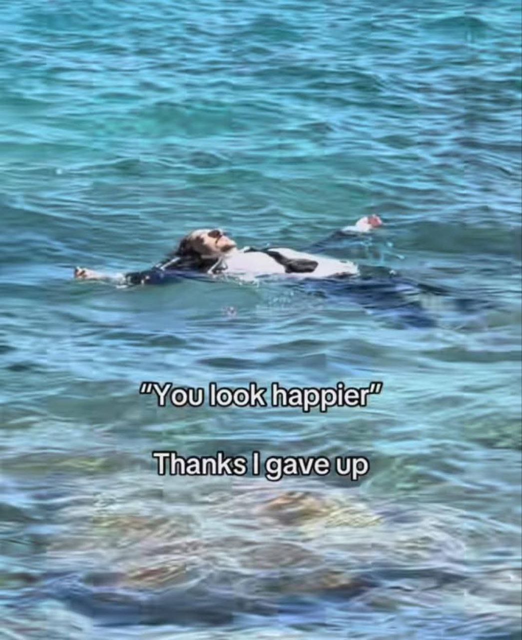 “You look Thanks даме up