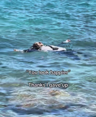 “You look Thanks даме up