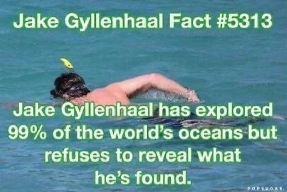 Jake Gyllenhaal Fact #5313 Jake has explored 99% of the world’s oceans but refuses to reveal what he’s found ФОРЪЫОАИ