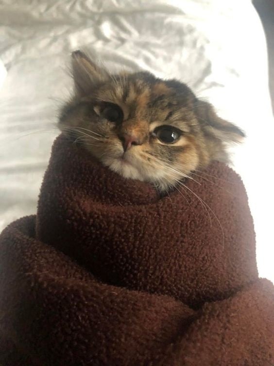 А