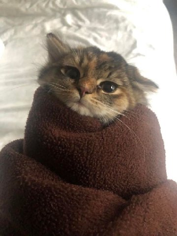 А