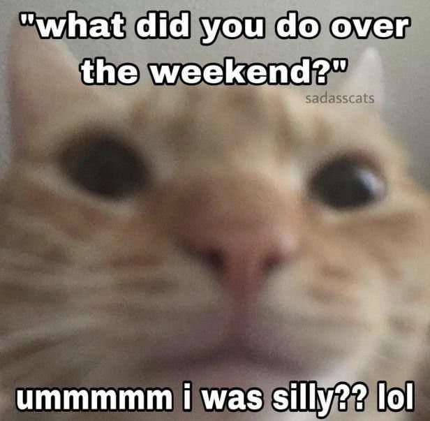 literally me