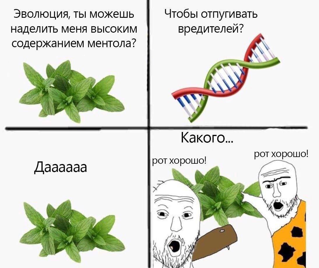 Эволюция, ты можешь Чтобы отпугивать наделить меня высоким вредителей? содержанием ментола? Какого Даааааа рот хорошо! (EEE kas) 4