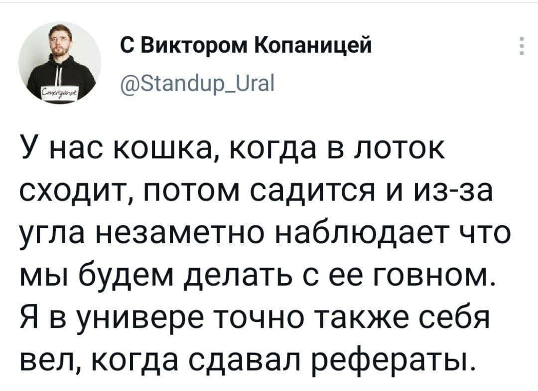 С Виктором Копаницей У нас кошка, когда в лоток сходит, потом садится и из-за угла незаметно наблюдает что мы будем делать с ее говном. Я в универе точно также себя вел, когда сдавал рефераты.