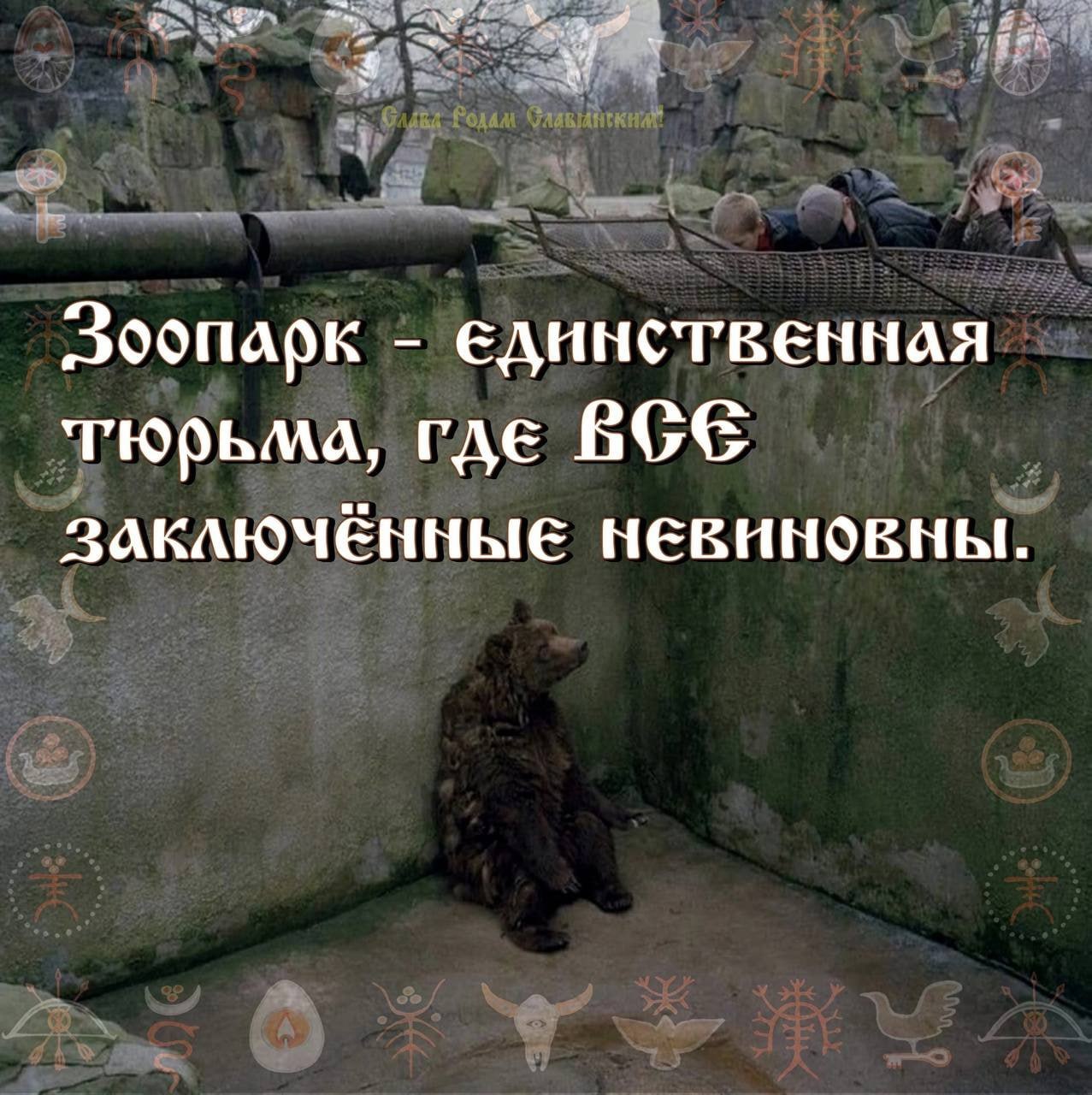 Зоопарк Единственная тюрьма, где ЗАКЛЮЧЕННЫЕ