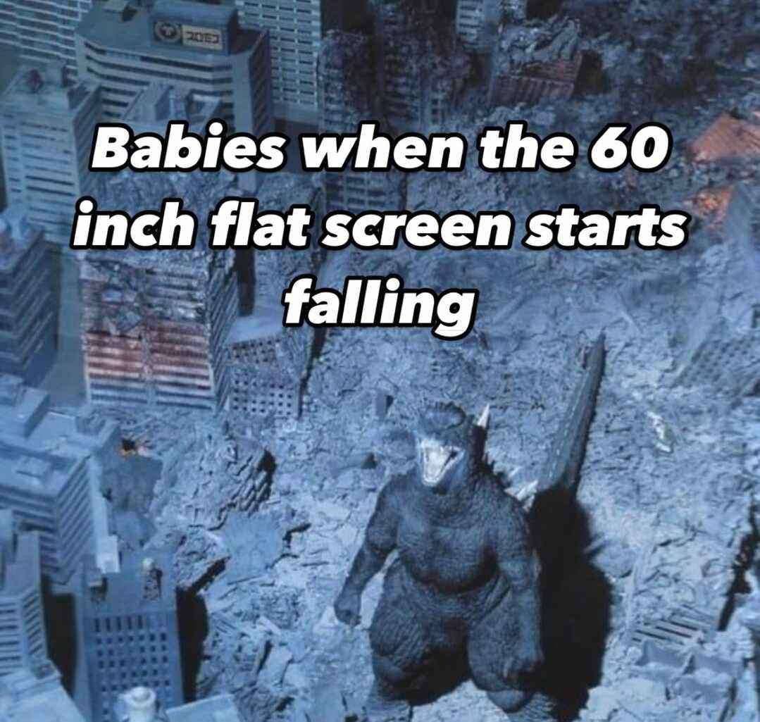 Babies when the 60 inch flat screen starts falling