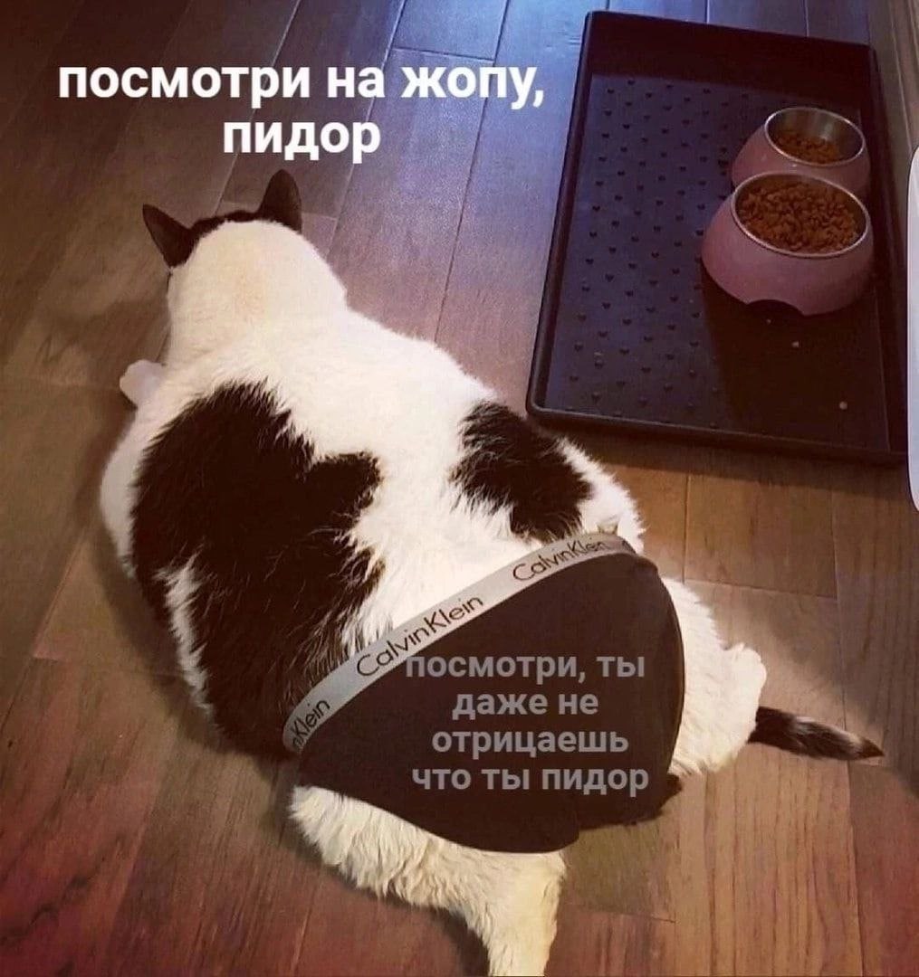 посмотри У пидо И RAS осмотри, ты даже не отрицаешь что ты пидор a