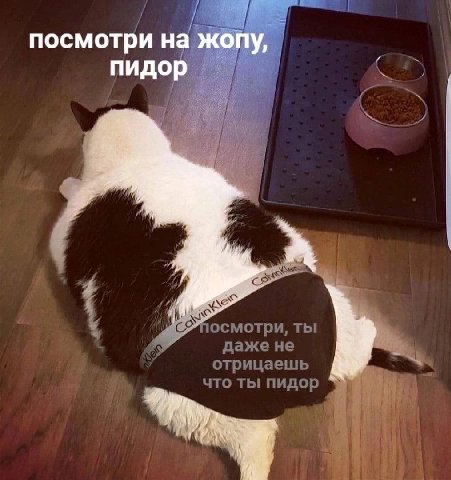 посмотри У пидо И RAS осмотри, ты даже не отрицаешь что ты пидор a