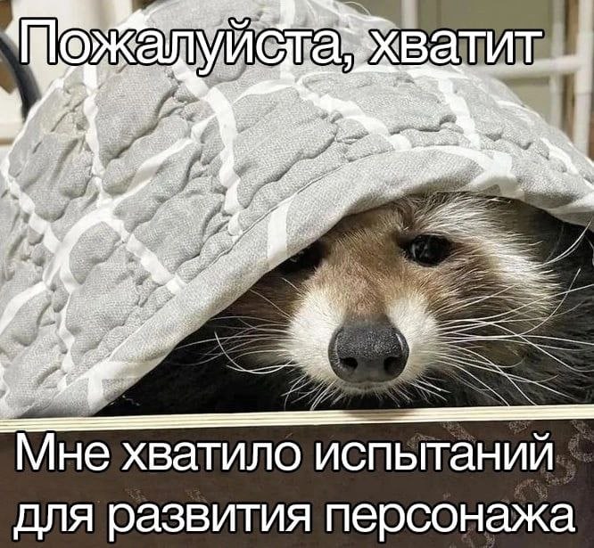 ONK И атит a as Мне хватило испытаний для развития персонажа