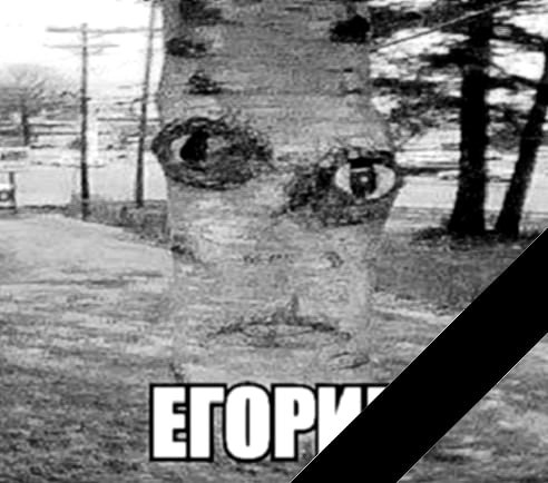 Друзья, грустная новость. Егорика не стало. Парниша не выдержал извращенное больное воображение админа и отказался быть марионеткой, Егорик свободен. Но обещал вернуться как-нибудь, заскочить на огоне