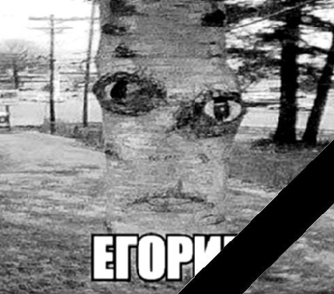 Друзья, грустная новость. Егорика не стало. Парниша не выдержал извращенное больное воображение админа и отказался быть марионеткой, Егорик свободен. Но обещал вернуться как-нибудь, заскочить на огоне