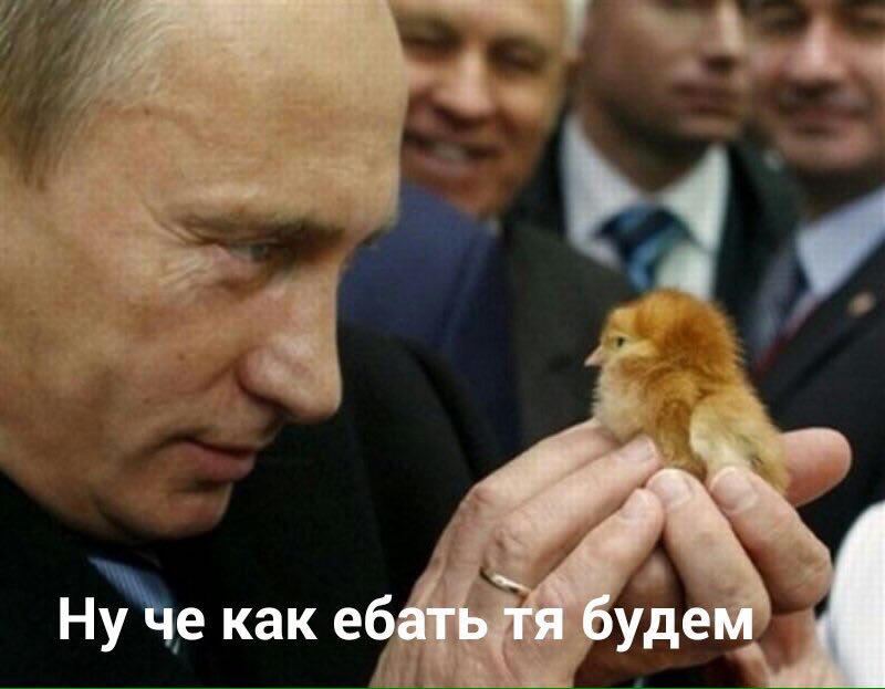 админ и работодатель