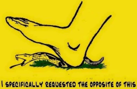 SPECIFICALLY THE OPPOSITE OF THIS