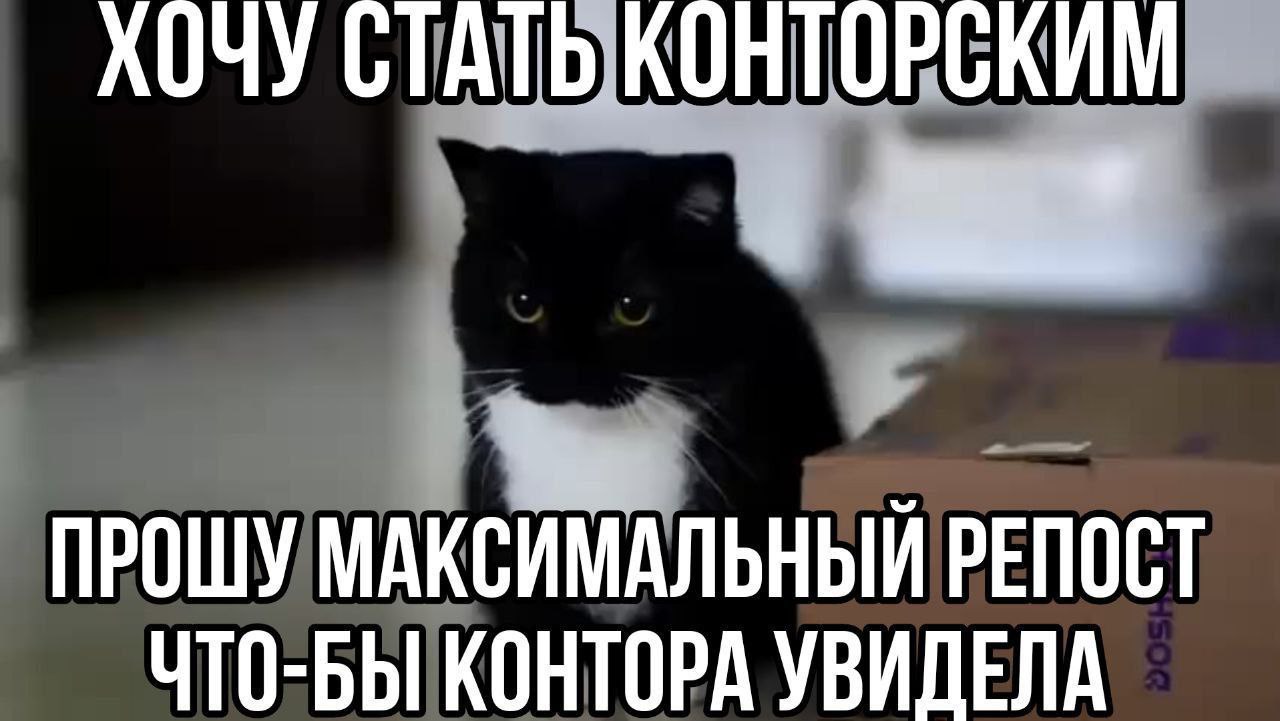 ХОЧУ СТАТЬ КОНТОРСК ПРОШУ МАКСИМАЛЬНЫЙ РЕПОСТ ЧТО-БЫ КОНТОРА УВИДЕЛА