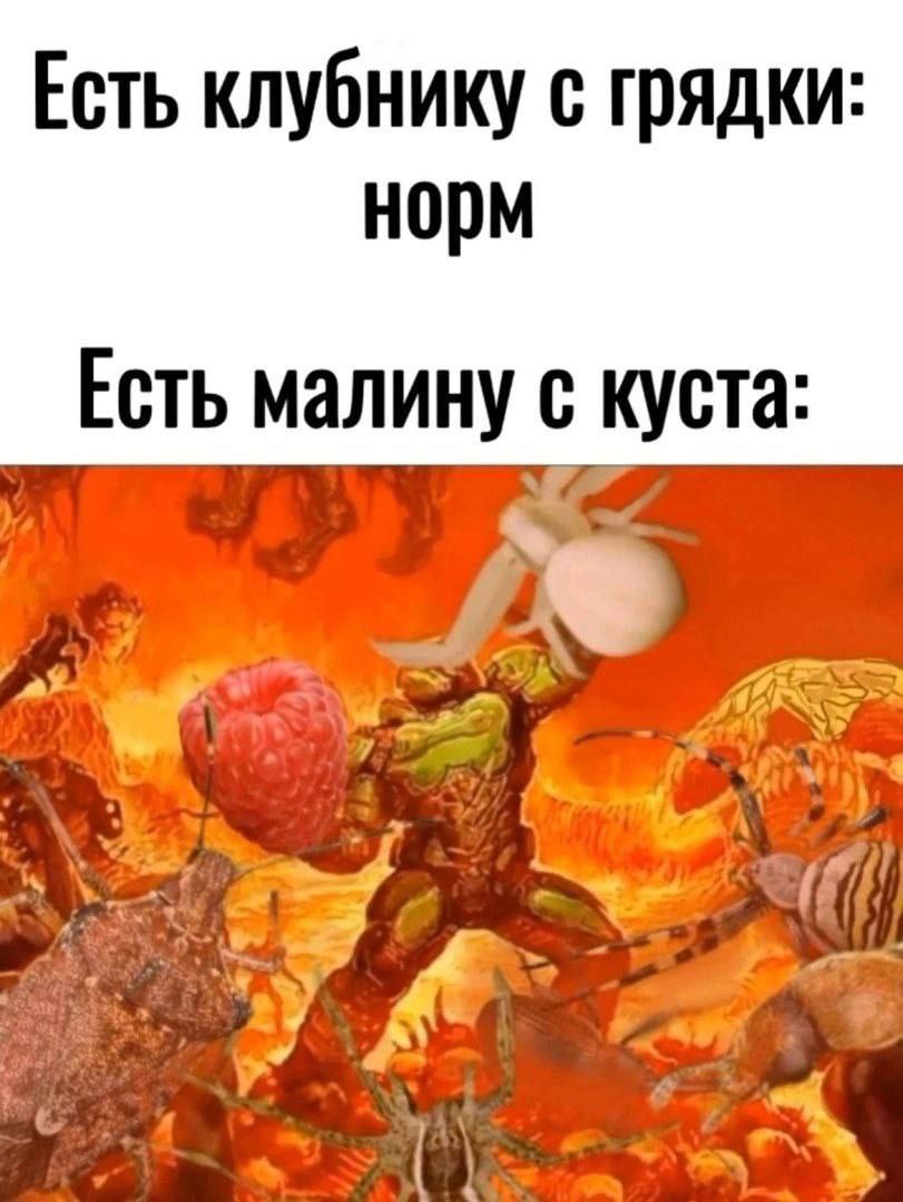 Есть клубнику с грядки: норм Есть малину с куста: