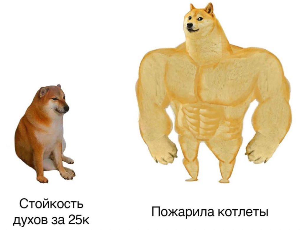 Стойкость Пожарила котлеты духов за 25к