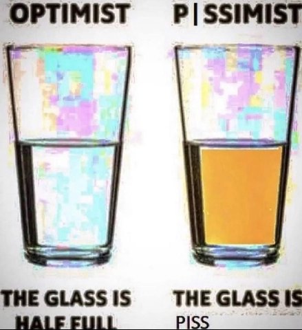 OPTIMIST ТНЕ 61455 1$ THEGLASSIS