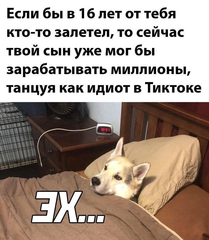 Если бы в 16 лет от тебя кто-то залетел, то сейчас твой сын уже мог бы за рабаты вать миллионы, танцуя как идиот в Тиктоке