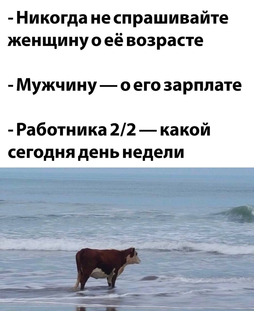 спрашивайте женщинуоеё возрасте Мужчину оего зарплате Работника 2/2 какой сегодня деньнедели a