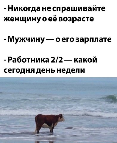 спрашивайте женщинуоеё возрасте Мужчину оего зарплате Работника 2/2 какой сегодня деньнедели a