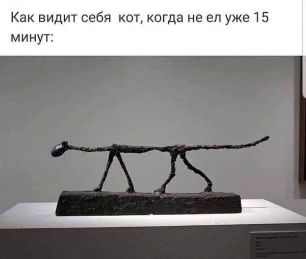 Как видит себя кот, когда неел уже 15 минут:
