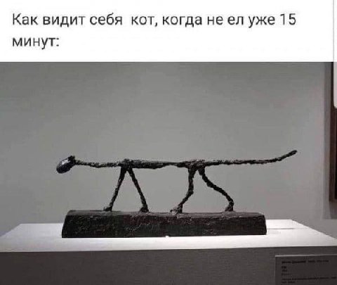 Как видит себя кот, когда неел уже 15 минут: