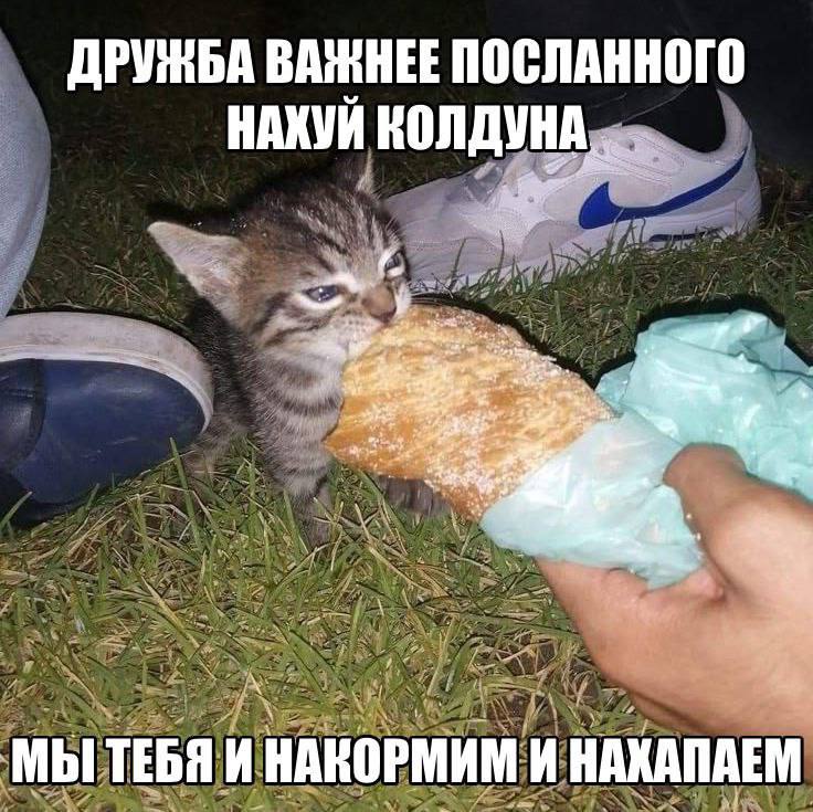 ВАЖНЕЕ ПОСЛАННОГО НАХУЙ КОЛДУНА a wie МЫТЕБЯ И НАКОРМИ АКАПАЕМ a