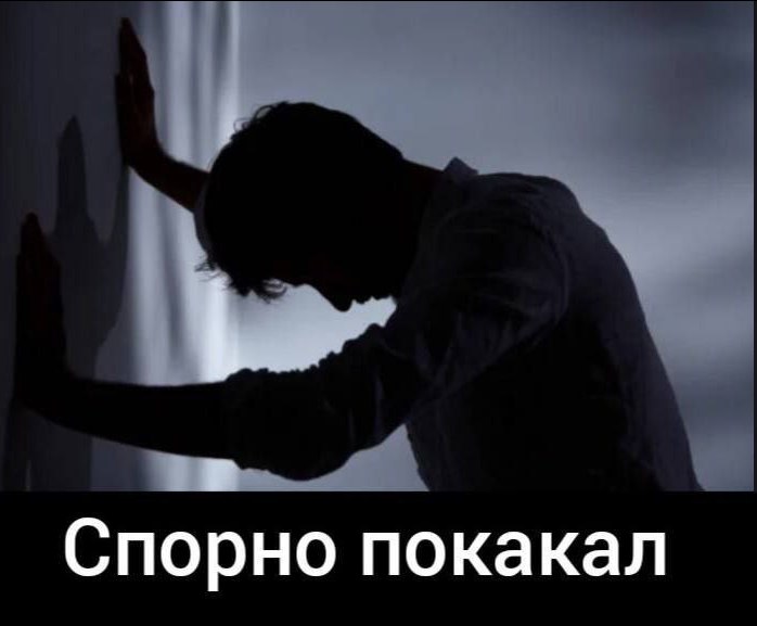 МЕМЫ ОТ БИМО
