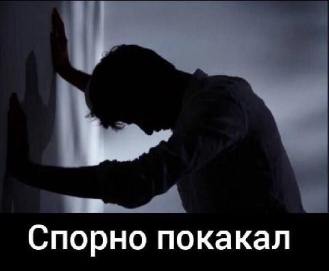 МЕМЫ ОТ БИМО