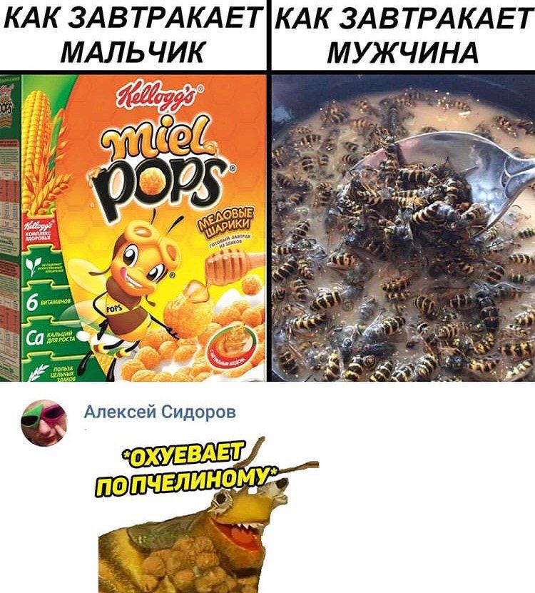 КАК ЗАВТРАКАЕТ\КАК ЗАВТРАКАЕТ МУЖ у АЛЬЦ on Алексей Сидоров ПОПЧЕЛИН