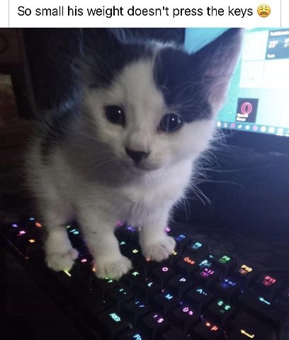 So small his weight doesn't press the keys