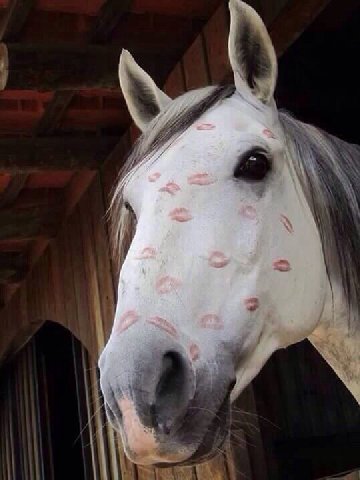 💋
