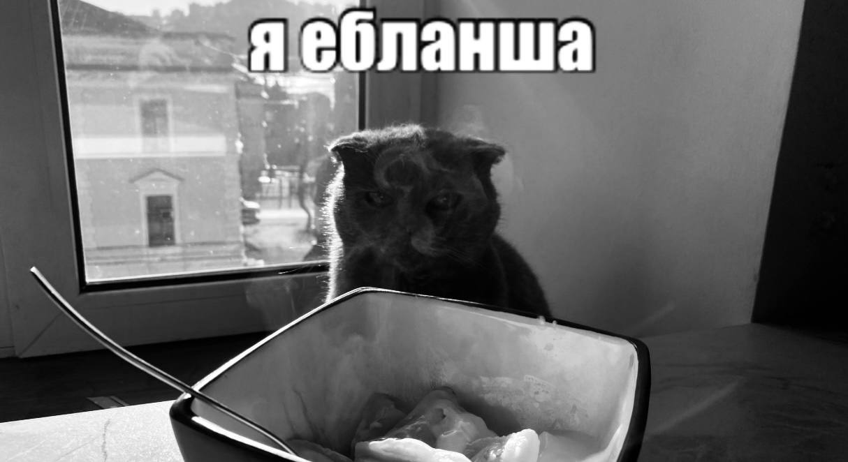 Я ебланша