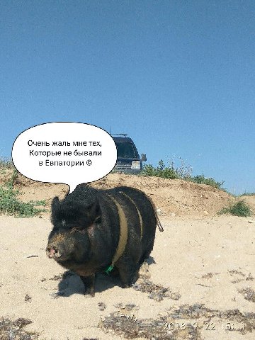 Очень жаль мне тех, Которые не бывали в Евпатории 25 2 "Я
